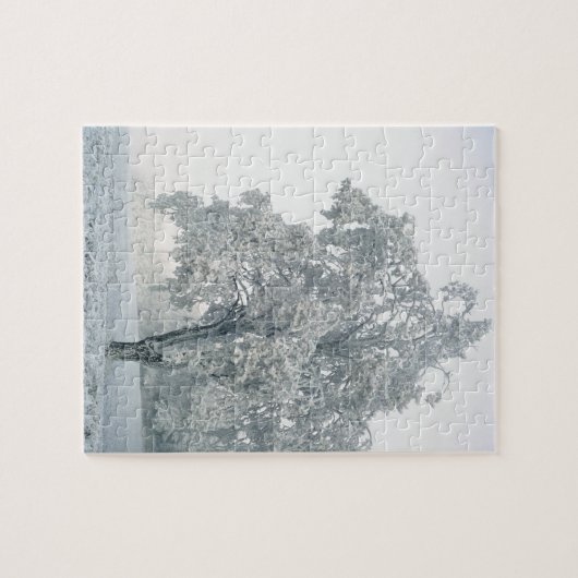 Sneeuwwinterlandschap Legpuzzel (Horizontaal)