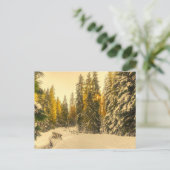 Sneeuwwinterpad met pijnbomen Foto Briefkaart (Staand voorkant)