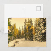 Sneeuwwinterpad met pijnbomen Foto Briefkaart (Voorkant / Achterkant)