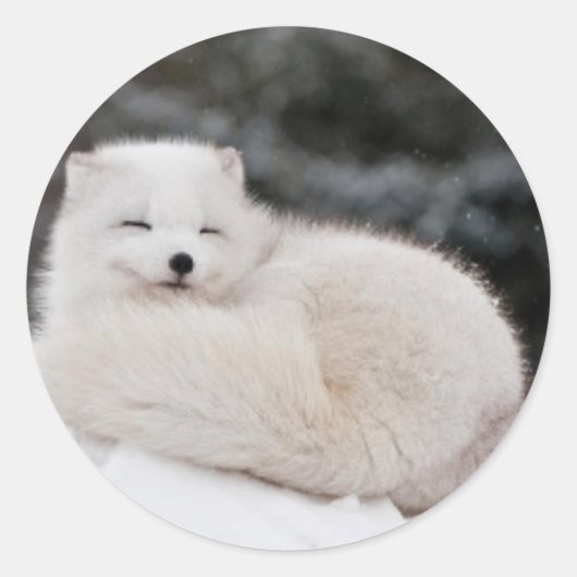 sneeuwwinterweer bevroren sneeuwijs Arctische vos Ronde Sticker (Voorkant)