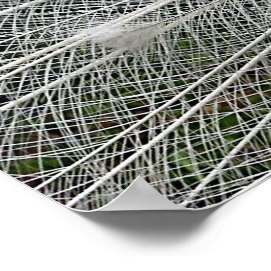 Sneeuwwit Poster (Hoek)