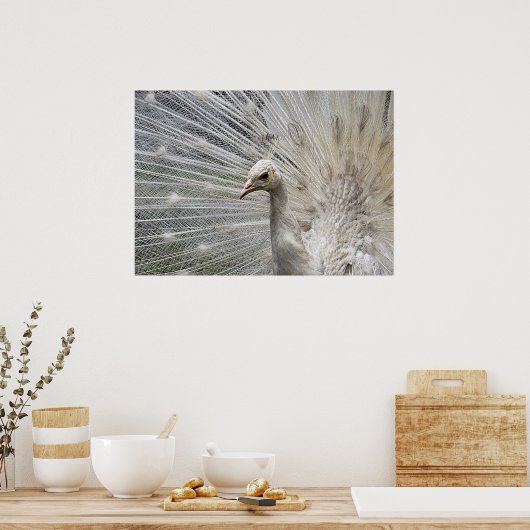 Sneeuwwit Poster (Keuken)