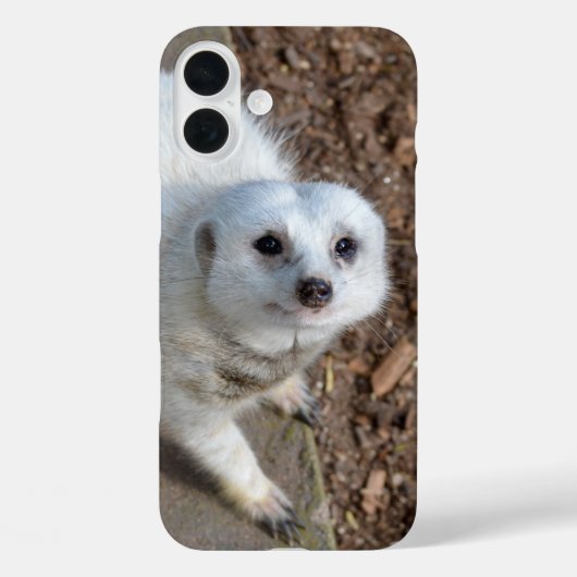 Sneeuwwit stokstaartje, Case-Mate iPhone case (Achterkant)