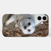 Sneeuwwit stokstaartje, Case-Mate iPhone case (Achterkant (horizontaal))
