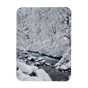 Sneeuwwit stroompje landschappelijk, Oregon Magneet