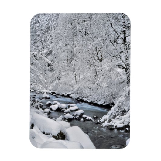 Sneeuwwit stroompje landschappelijk, Oregon Magneet (Verticaal)