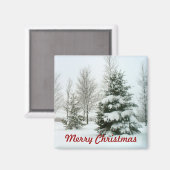 Sneeuwwitbomen, pretkerst magneet (Voorkant / Achterkant)