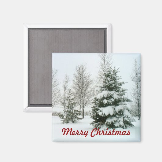 Sneeuwwitbomen, pretkerst magneet (Voorkant / Achterkant)
