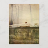 Sneeuwwitje Briefkaart (Voorkant)