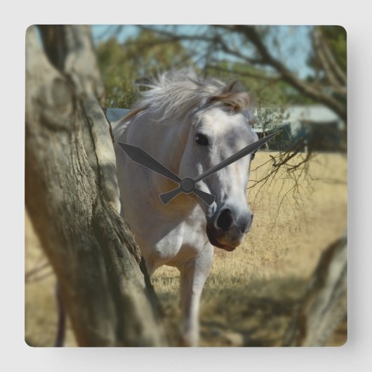 Sneeuwwitje: de majestueuze stoofpot vierkante klok (Voorkant)