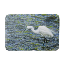 Sneeuwwitje Egret Stork Lake White Bird