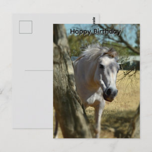 Sneeuwwitje Het Paard, Verjaardagsansichtkaart Briefkaart