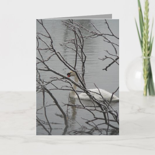 Sneeuwwitje Kaart (Voorkant)