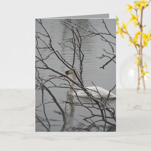 Sneeuwwitje Kaart (Gele Bloem)