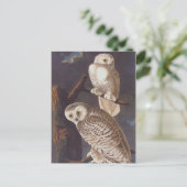 Sneeuwwitje op een donkere enge nacht Audubon Briefkaart (Staand voorkant)