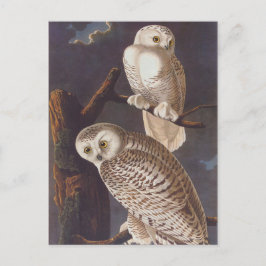 Sneeuwwitje op een donkere enge nacht Audubon Briefkaart