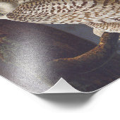 Sneeuwwitje uilen bij nacht Audubon  kunst Foto Afdruk (Hoek)