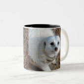 Sneeuwwitje van Meerkat, Tweekleurige Koffiemok (Voorkant rechts)