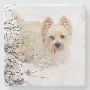 Sneeuwwitje Westie Dog Photo Stone Onderzetter