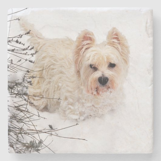 Sneeuwwitje Westie Dog Photo Stone Onderzetter (Voorkant)