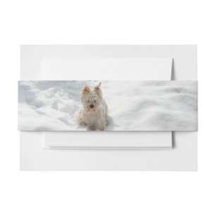 Sneeuwwitje Westie Hond Foto Uitnodiging Buikband Uitnodigingen Wikkel