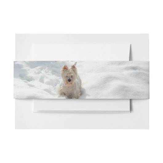Sneeuwwitje Westie Hond Foto Uitnodiging Buikband Uitnodigingen Wikkel (Voorkant Voorbeeld)