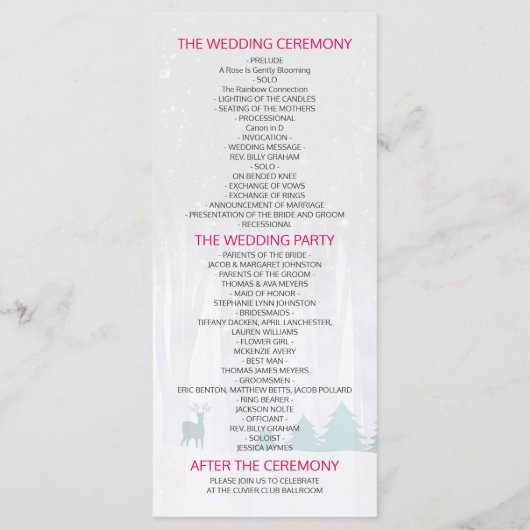 Sneeuwwitprogramma's voor de winterweduwen van vog programmakaart (Achterkant)