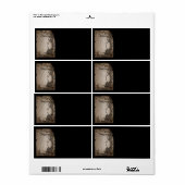 Sneeuwwitspiegel Etiket (Full Sheet)