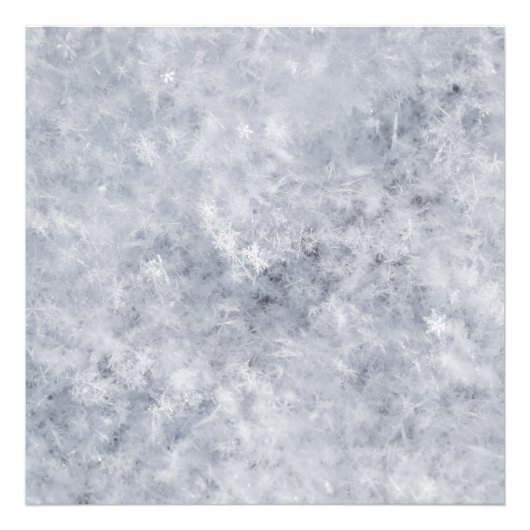 Sneeuwwitte kerst foto afdruk (Voorkant)