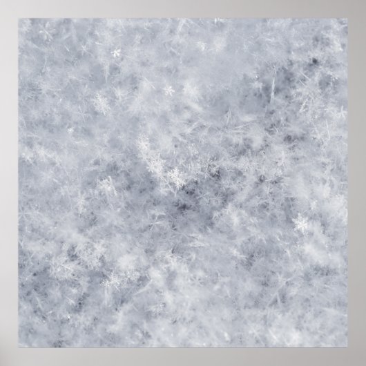 Sneeuwwitte kerst poster (Voorkant)