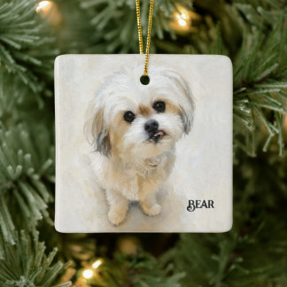 Sneeuwwitte Malshi Keramisch Ornament