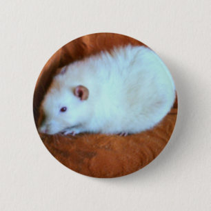 Sneeuwwitte Rat Knop Ronde Button 5,7 Cm