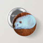 Sneeuwwitte Rat Knop Ronde Button 5,7 Cm (Voorkant /achterkant)
