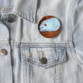 Sneeuwwitte Rat Knop Ronde Button 5,7 Cm (In situ)