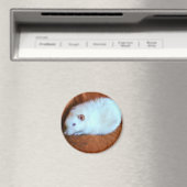 Sneeuwwitte Rat Magnet (Insitu (Vaatwasser))