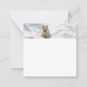 Sneeuwwitte Westie-hond Foto Plat Notitiekaart Notitiekaartje