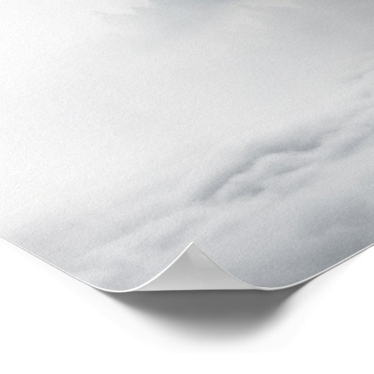 Sneeuwwolf afdrukken poster (Hoek)