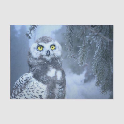 sneeuwwollen tissuepapier (Voorkant)