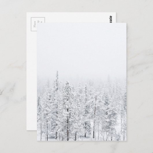 Sneeuwwoud Briefkaart (Voorkant / Achterkant)