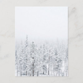 Sneeuwwoud Briefkaart
