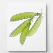 Sneeuwwten Fotoplaat (Voorkant)