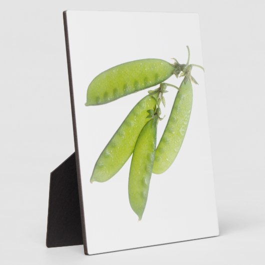 Sneeuwwten Fotoplaat (Zijkant)