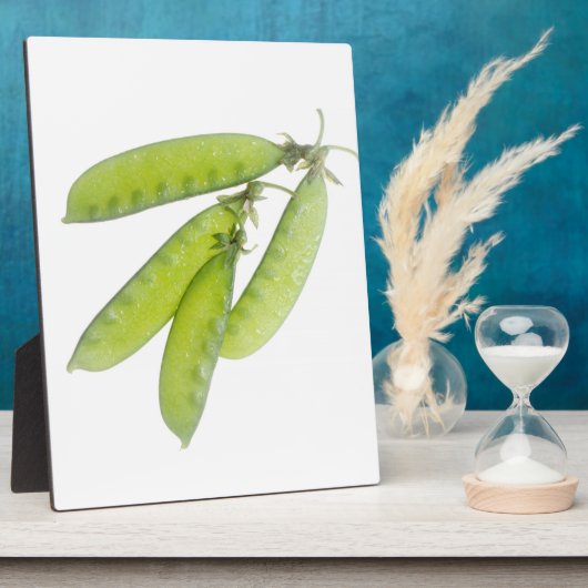 Sneeuwwten Fotoplaat (Zijkant)