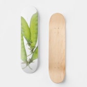 Sneeuwwten Skateboard (Voorkant)