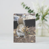 Sneezing Squirrel Briefkaart (Staand voorkant)