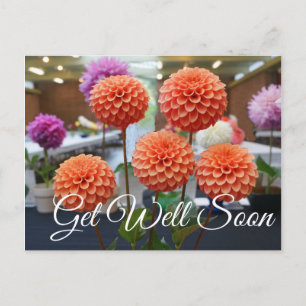 Snel Beter Dahlia Rose Toscano #1 Ansichtkaart Briefkaart