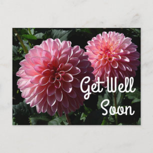 Snel Beter Dahlia Valley Porcupine #1 Ansichtkaart Briefkaart
