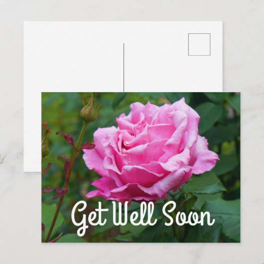 Snel Beter Memorial Day Roos #2 Ansichtkaart Briefkaart (Voorkant / Achterkant)