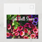 Snel Beter Rode Petunia's #1 Ansichtkaart Briefkaart (Voorkant / Achterkant)