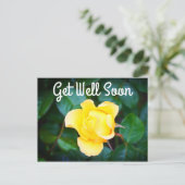 Snel Beter Wandelen op Zonneschijn Roos #1 Briefkaart (Staand voorkant)